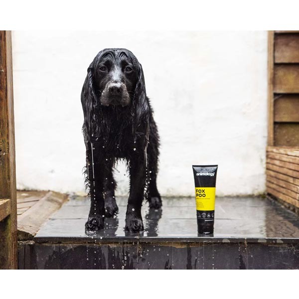 animology Fox Poo Dog Shampoo 250ml 3 animology Fox Poo Dog Shampoo 250ml - Image 3