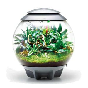 biOrb Air 30 Grey