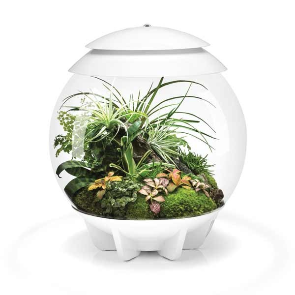 biOrb Air 30 White 1 biOrb Air 30 White