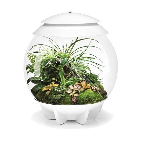 biOrb Air 30 White 2 biOrb Air 30 White - Image 2