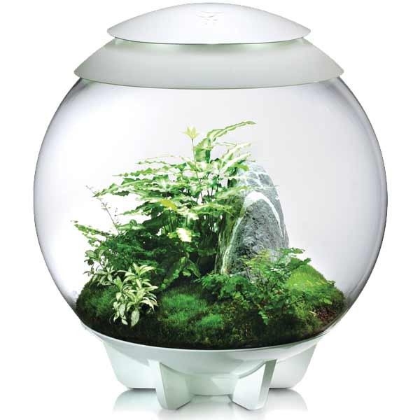 biOrb Air 30 White 4 biOrb Air 30 White - Image 4