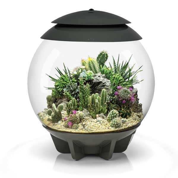biOrb Air 30 Black 2 biOrb Air 30 Black - Image 2