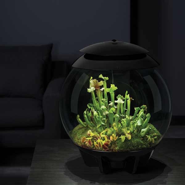 biOrb Air 30 Black 3 biOrb Air 30 Black - Image 3