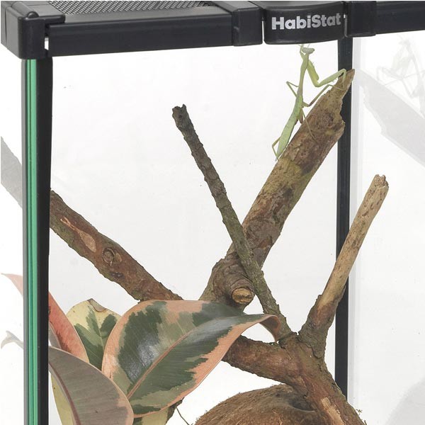 HabiStat Invertebrate Starter Kit 3 HabiStat Invertebrate Starter Kit - Image 3