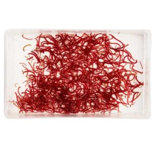 Instore Live Live Bloodworm Small 100ml