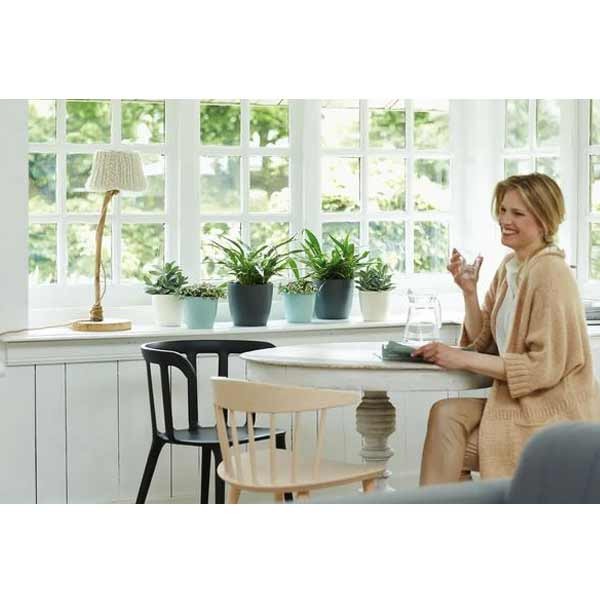 Elho Brussels Round Anthracite 14cm Flower Pot 6 Elho Brussels Round Anthracite 14cm Flower Pot - Image 6