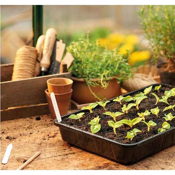 Grow it Standard Seed Tray Rigid Single 2 Grow it Standard Seed Tray Rigid Single - Image 2