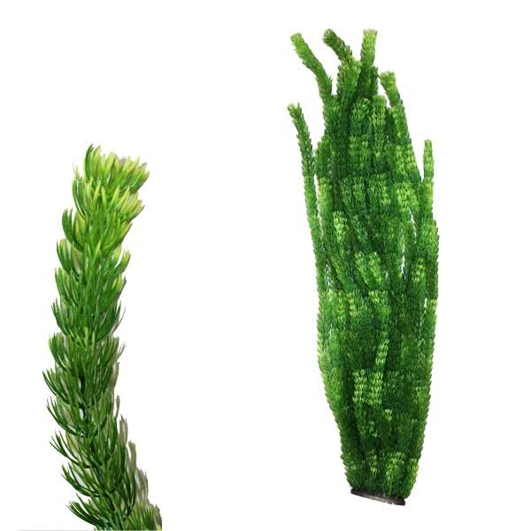 Hugo Kamishi x-Large Plant Green 3 95cm 1 Hugo Kamishi x-Large Plant Green 3 95cm