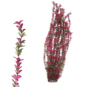 Hugo Kamishi x-Large Plant Green/Purple 95cm
