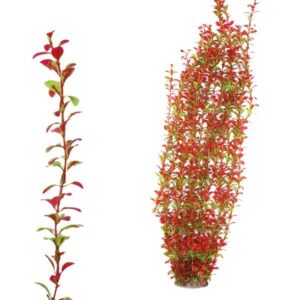 Hugo Kamishi x-Large Plant Red/Green 95cm
