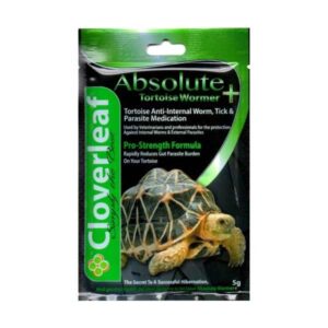 Absolute
