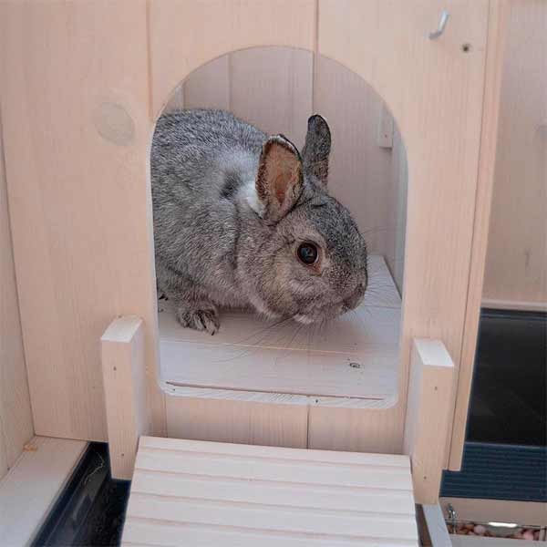 Ferplast Cottage Mini Indoor Rabbit Hutch 5 Ferplast Cottage Mini Indoor Rabbit Hutch - Image 5
