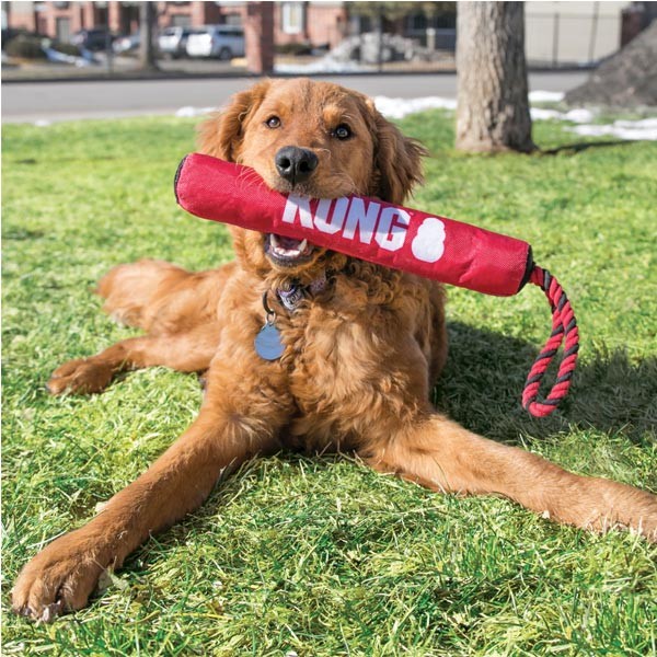 KONG Signature Stick w/Rope Medium Dog Toy 2 KONG Signature Stick w/Rope Medium Dog Toy - Image 2