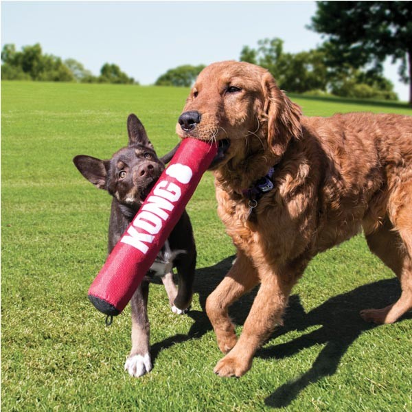 KONG Signature Stick Medium Dog Toy 2 KONG Signature Stick Medium Dog Toy - Image 2