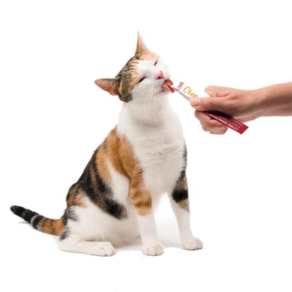Catit Creamy Chicken 15x10g Cat Treat 5 Catit Creamy Chicken 15x10g Cat Treat - Image 5