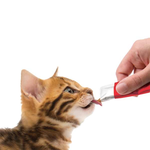 Catit Creamy Chicken with Lamb 15x10g Cat Treat 6 Catit Creamy Chicken with Lamb 15x10g Cat Treat - Image 6