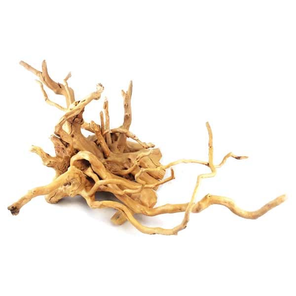 Aqua One Azalea Root approx. 60 - 75 cm pieces 1 Aqua One Azalea Root approx. 60 - 75 cm pieces