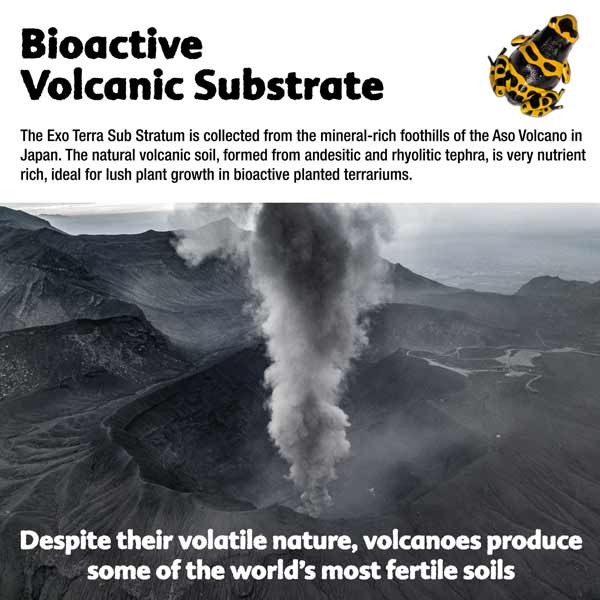 Exo Terra Sub Stratum Bioactive Volcanic Substrate 2kg (4.4lbs) 2 Exo Terra Sub Stratum Bioactive Volcanic Substrate 2kg (4.4lbs) - Image 2