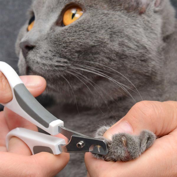 Catit 2.0 Short Hair Grooming Kit 4 Catit 2.0 Short Hair Grooming Kit - Image 4