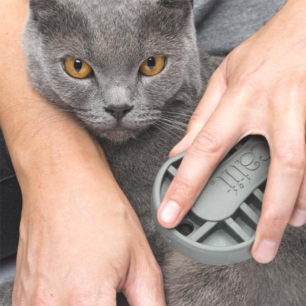 Catit 2.0 Short Hair Grooming Kit 5 Catit 2.0 Short Hair Grooming Kit - Image 5