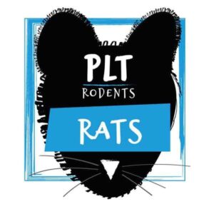 PLT Rodents Frozen Rat Medium 160g+ 5 Pack