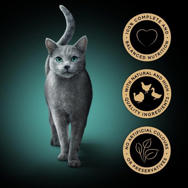 Sheba Fresh Cuisine Taste of Rome Cat Pouches with Poultry Mix in Gravy 6x50g 3 Sheba Fresh Cuisine Taste of Rome Cat Pouches with Poultry Mix in Gravy 6x50g - Image 3