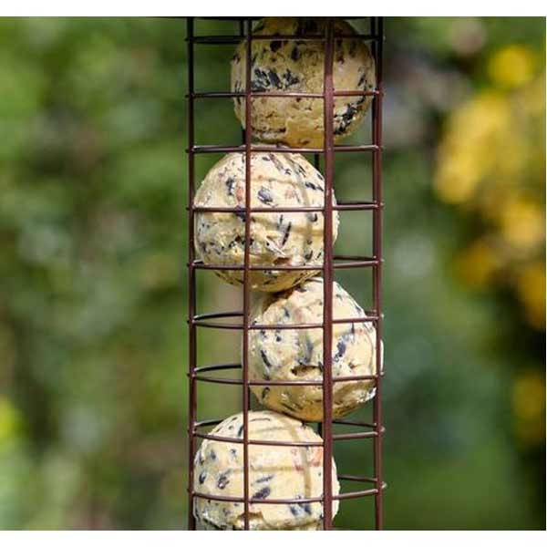 Peckish Extra Goodness EnergyBall 50+20 Percent Box 2 Peckish Extra Goodness EnergyBall 50+20 Percent Box - Image 2