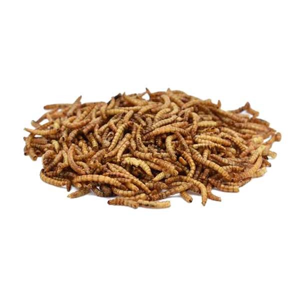 Peckish Mealworm 175g 2 Peckish Mealworm 175g - Image 2
