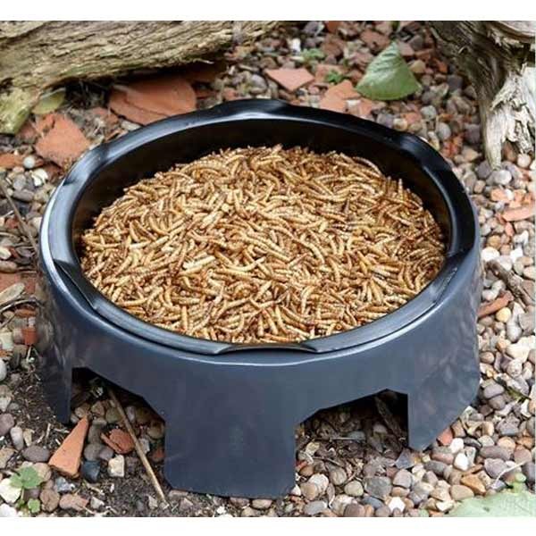 Peckish Mealworm 175g 4 Peckish Mealworm 175g - Image 4