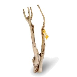 Habistat Tea Tree Branch