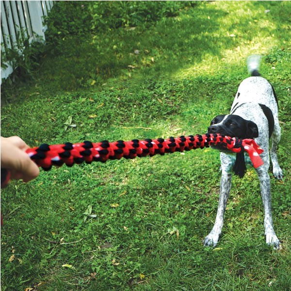 KONG Signature Rope Dual Knot Medium Dog Toy 2 KONG Signature Rope Dual Knot Medium Dog Toy - Image 2