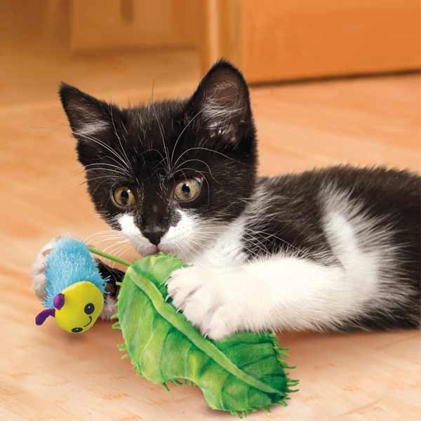 KONG Flingaroo Caterpillar Cat Toy 3 KONG Flingaroo Caterpillar Cat Toy - Image 3