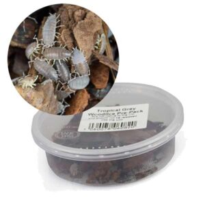Home Delivery Tropical Grey Woodlice Pre-Pack
