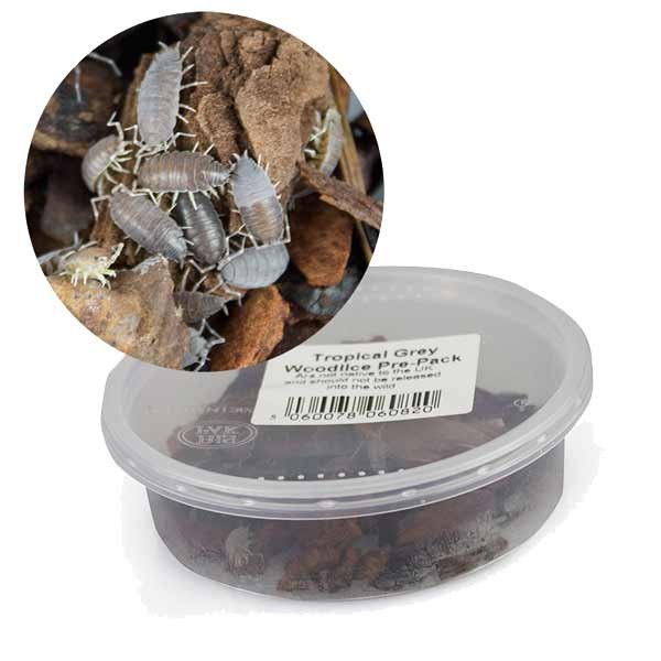 Home Delivery Tropical Grey Woodlice Pre-Pack 1 Home Delivery Tropical Grey Woodlice Pre-Pack