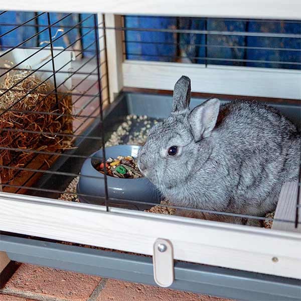 Ferplast Cottage Medium Indoor Rabbit Hutch 5 Ferplast Cottage Medium Indoor Rabbit Hutch - Image 5