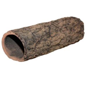 Ceramic Nature Catfish Cave Small