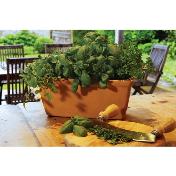 Verona Terracotta Trough 50cm 2 Verona Terracotta Trough 50cm - Image 2