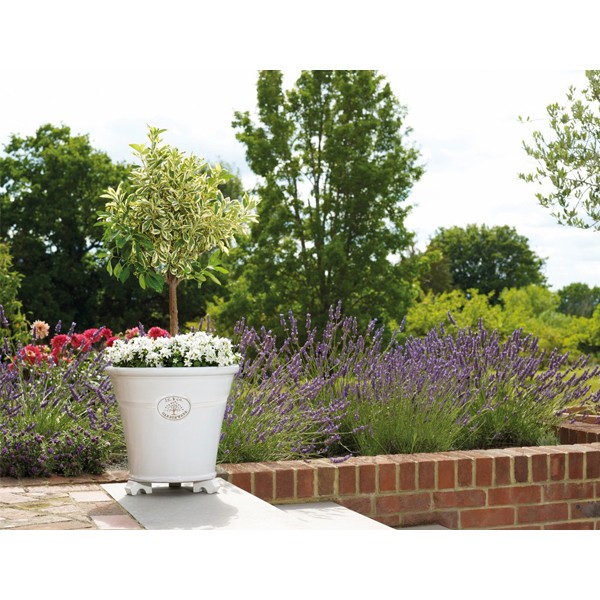 JC & Co White Cone 26cm 2 JC & Co White Cone 26cm - Image 2