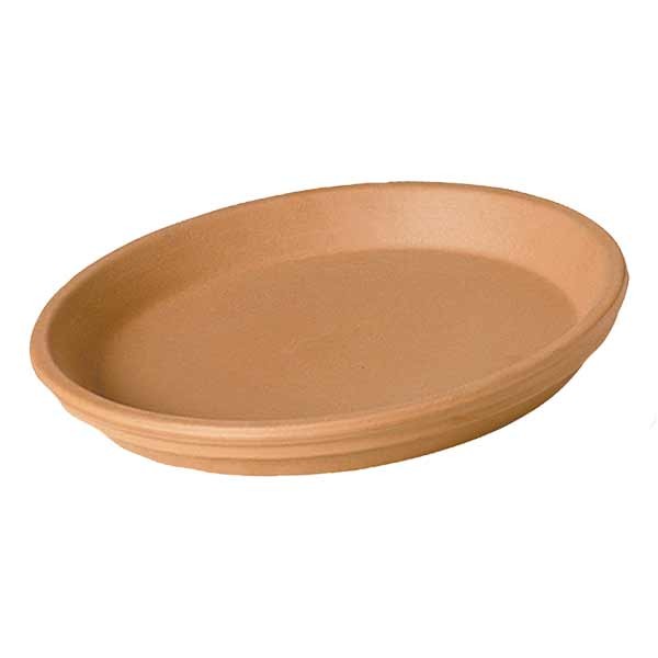 Terracotta Saucer 22cm Single 1 Terracotta Saucer 22cm Single
