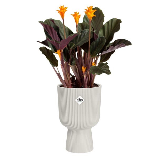 Elho Vibes Fold Coupe Silky White 14cm Flower Pot 2 Elho Vibes Fold Coupe Silky White 14cm Flower Pot - Image 2