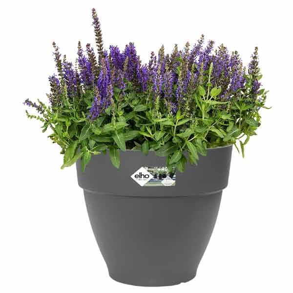 Elho Vibia Campana Round Anthracite 40cm Flower Pot 2 Elho Vibia Campana Round Anthracite 40cm Flower Pot - Image 2