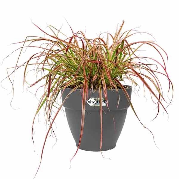 Elho Vibia Campana Round Anthracite 40cm Flower Pot 3 Elho Vibia Campana Round Anthracite 40cm Flower Pot - Image 3