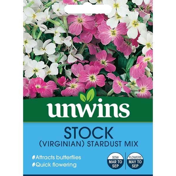 Unwins Stock Virginia Stardust Mix Seeds 1 Unwins Stock Virginia Stardust Mix Seeds