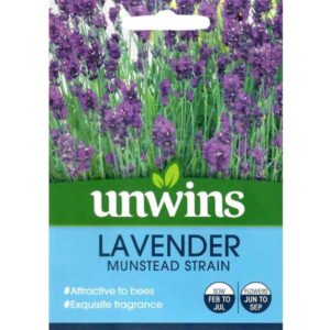 Unwins Lavender Munstead Strain Seeds