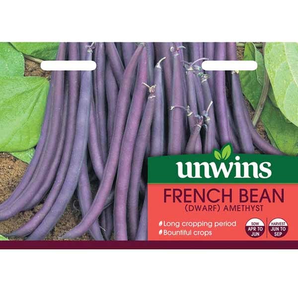 Unwins Dwarf French Bean Amethyst 1 Unwins Dwarf French Bean Amethyst