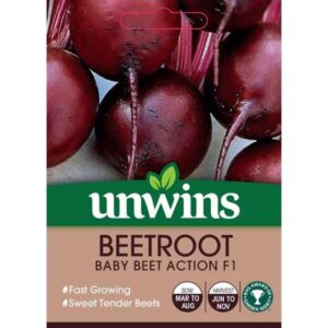 Unwins Beetroot Baby Beet Action F1 Seeds