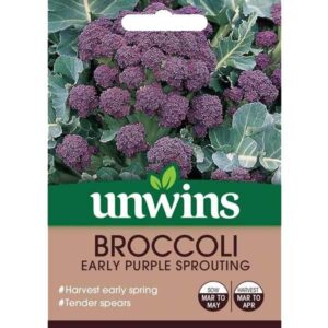 Unwins Broccoli Early Purple Sprouting Seeds