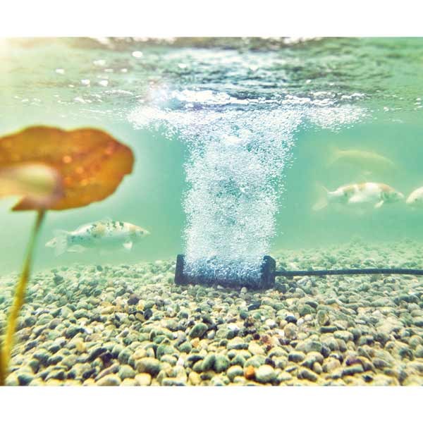 Oase AquaOxy Aerator Bar Small 2 Oase AquaOxy Aerator Bar Small - Image 2
