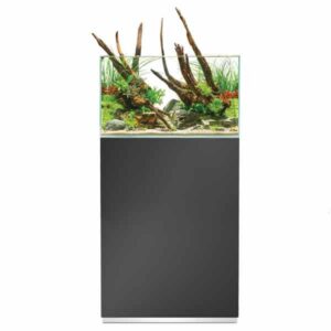 Oase ScaperLine 60 Grey Aquarium & Cabinet