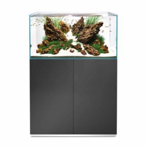 Oase ScaperLine 90 Grey Aquarium & Cabinet